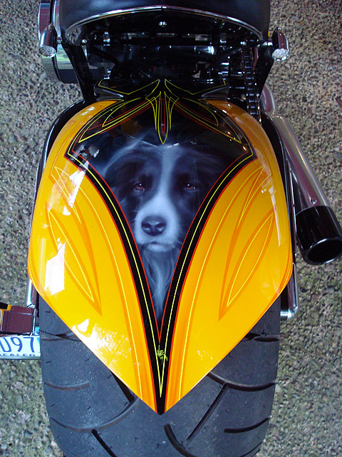 Border Collie Boomer portrait displayed on custom BOOMER-1 motorcycle fuel tank