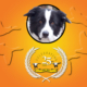 Geese Chasers Border Collie with 25 years anniversary badge 1999–2024