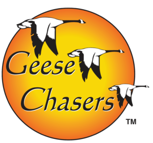 Geese Chasers logo with flying geese