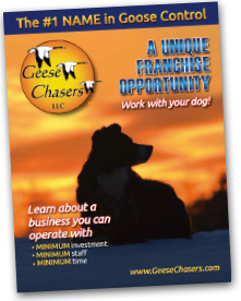 franchise-booklet