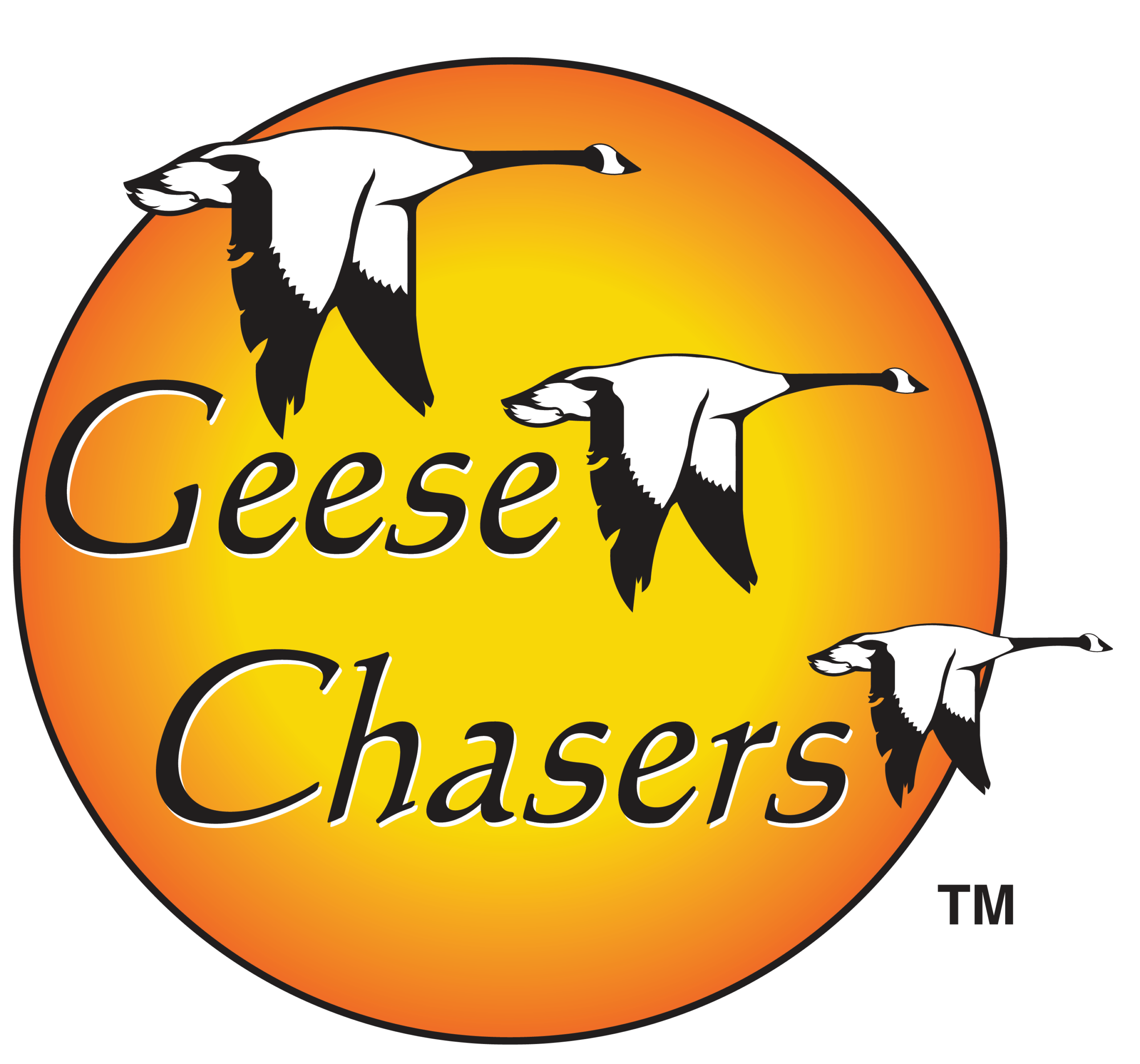 Geesechasers